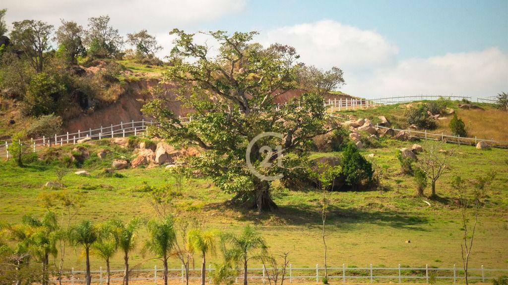 Haras e Área Rural Padrão à venda, 22000M2 - Foto 18