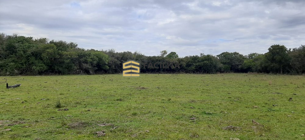 Fazenda à venda com 2 quartos, 420000m² - Foto 3