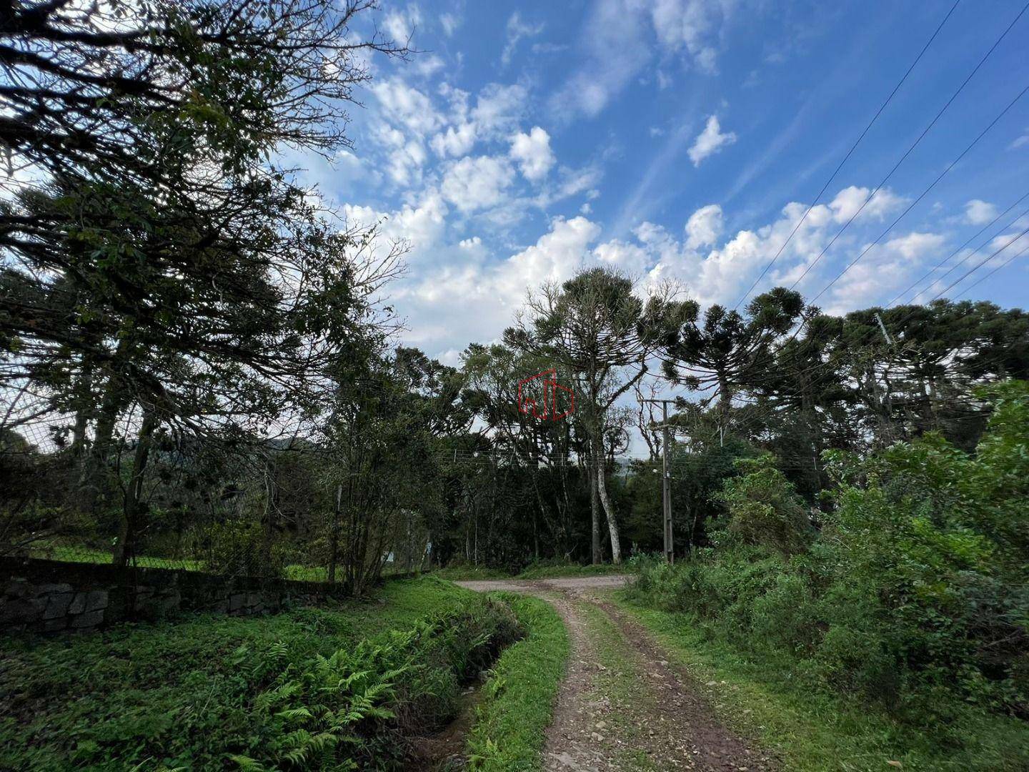 Terreno à venda, 1600M2 - Foto 5