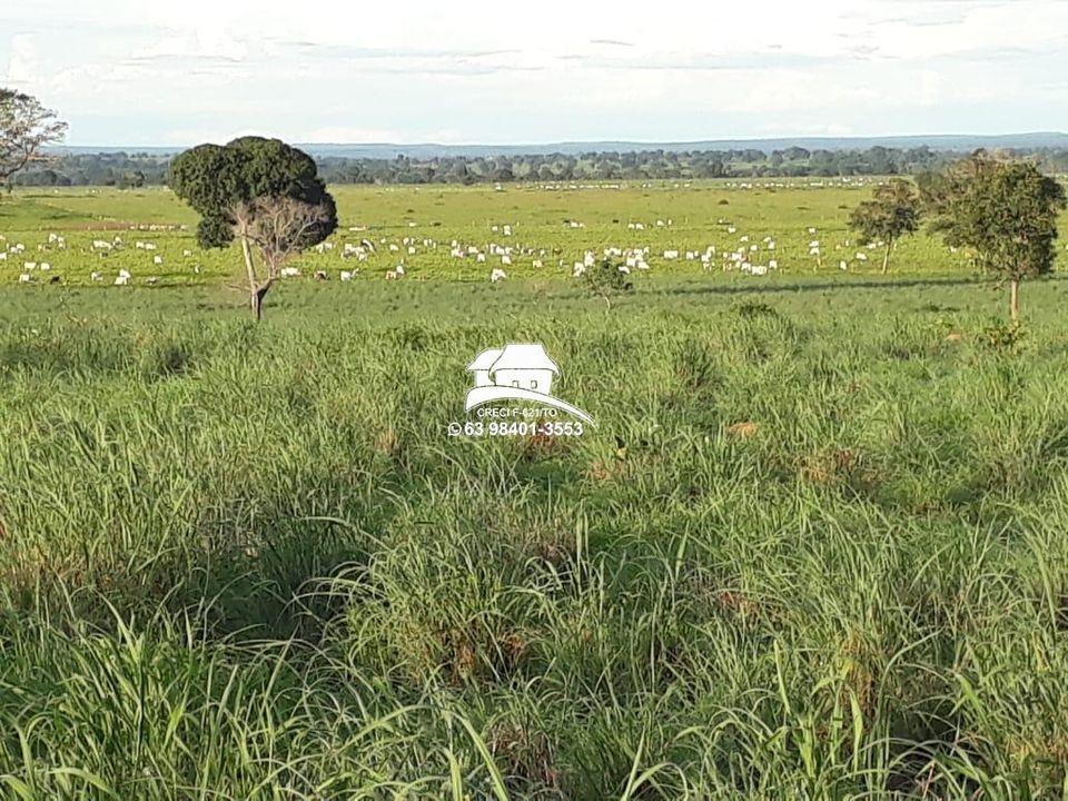 Fazenda à venda, 1m² - Foto 5