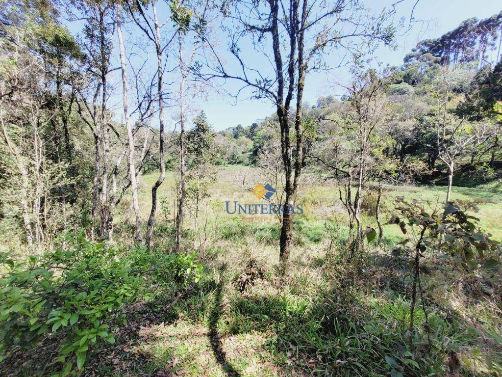 Chácara, 1 quarto, 3 hectares - Foto 4