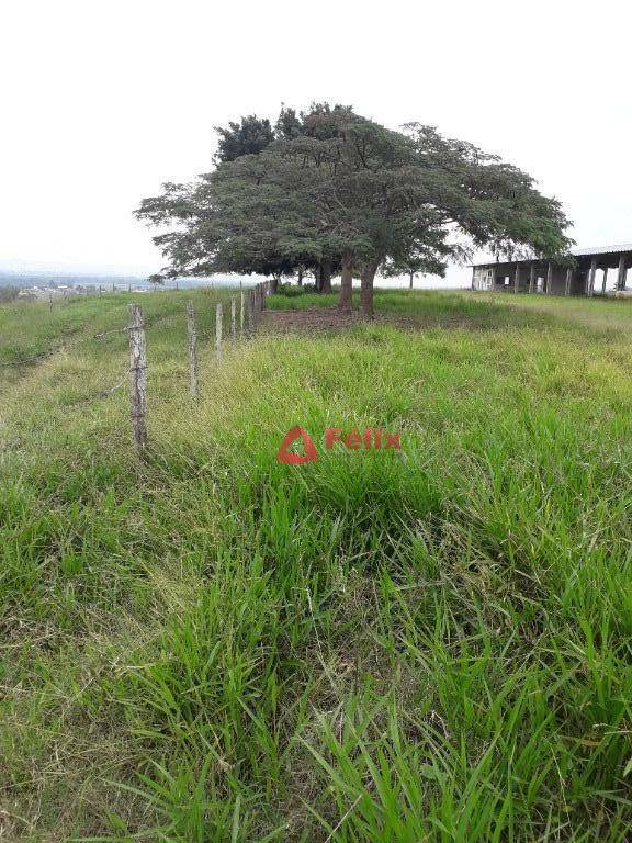 Terreno à venda, 968000M2 - Foto 6