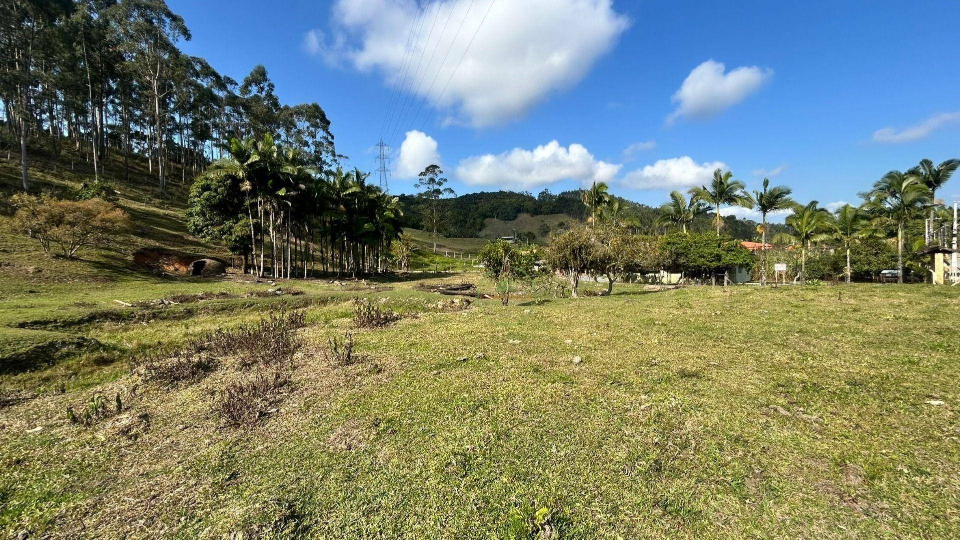 Sítio, 10000 m² - Foto 20