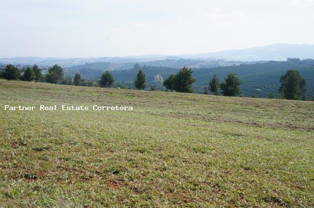 Terreno à venda, 3080m² - Foto 33