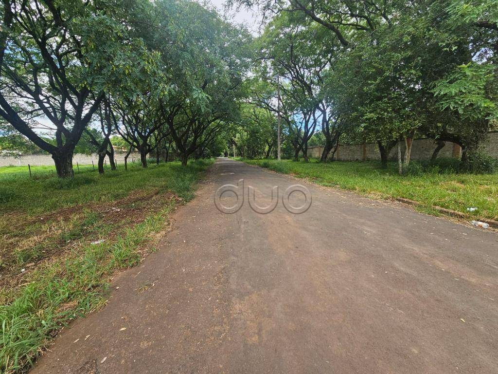 Terreno, 3245 m² - Foto 5