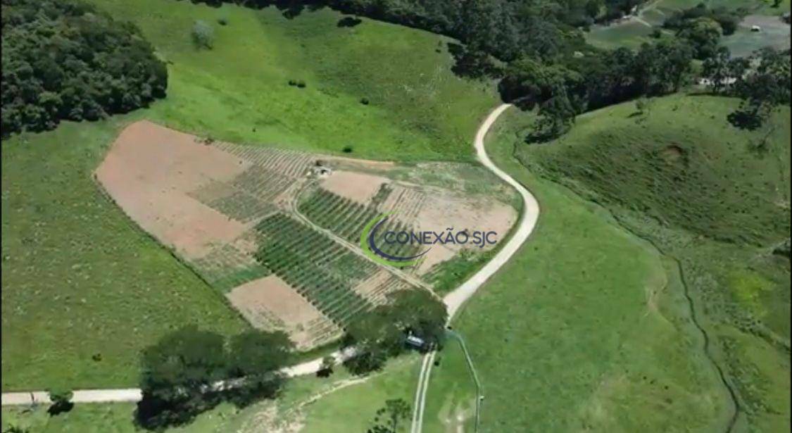 Fazenda à venda com 3 quartos, 1080000M2 - Foto 17