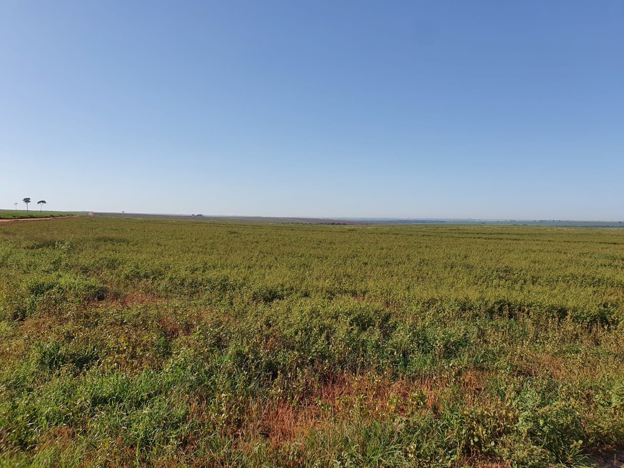 Fazenda à venda, 14530000M2 - Foto 2