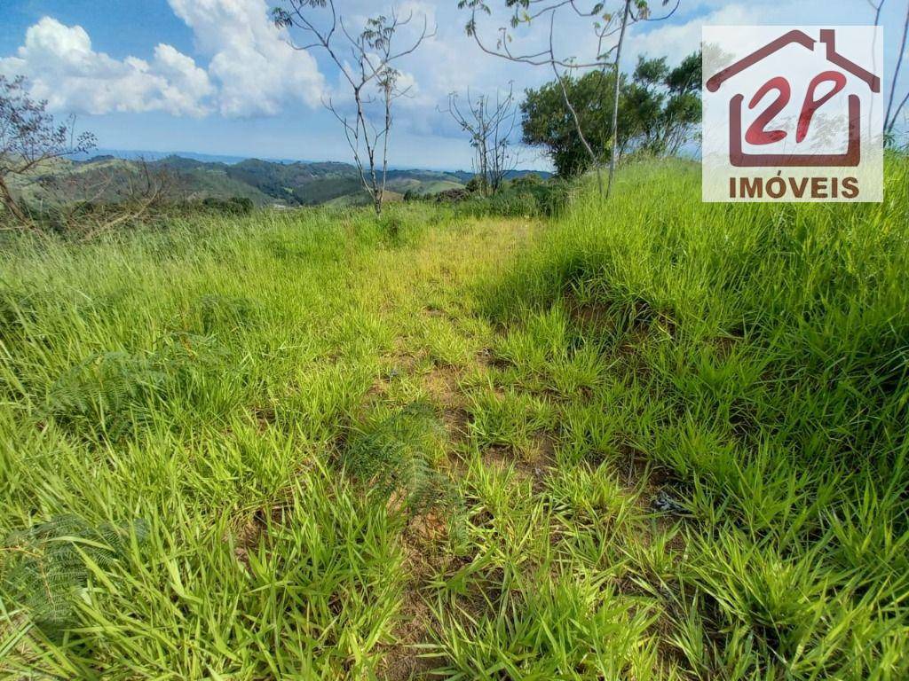 Terreno à venda, 10000M2 - Foto 9