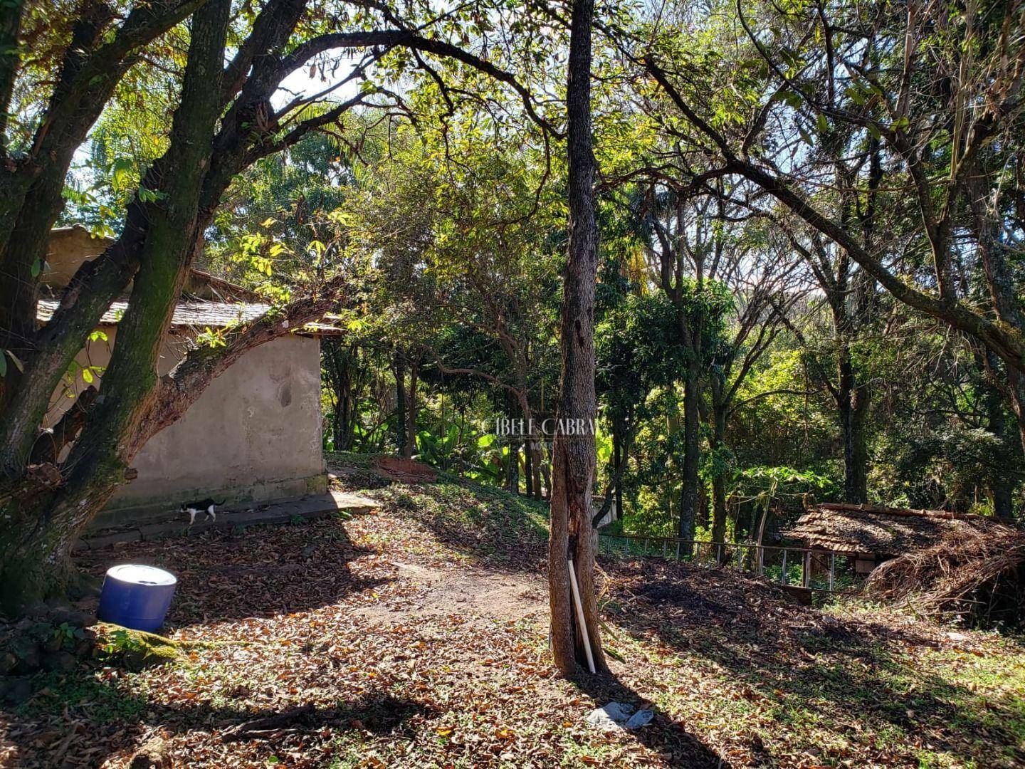 Chácara à venda com 2 quartos, 104m² - Foto 14