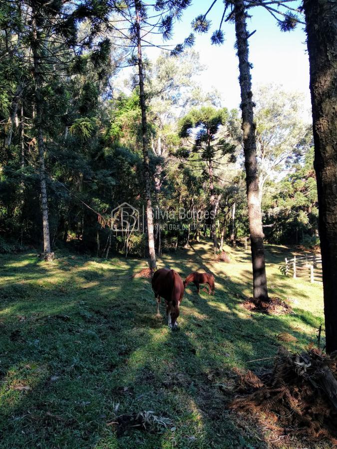 Fazenda à venda, 6900m² - Foto 21