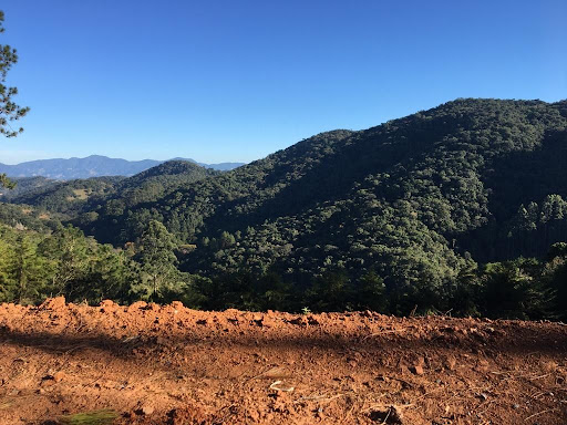 Terreno à venda, 1767M2 - Foto 2