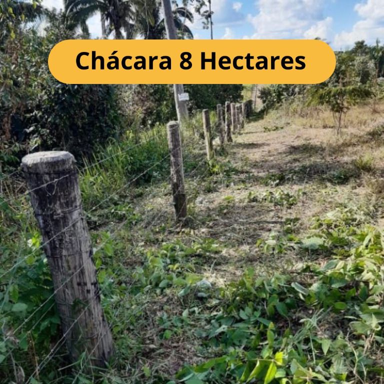 Chácara, 8 hectares - Foto 1
