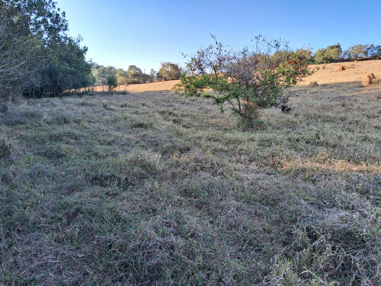 Fazenda à venda, 36000m² - Foto 5