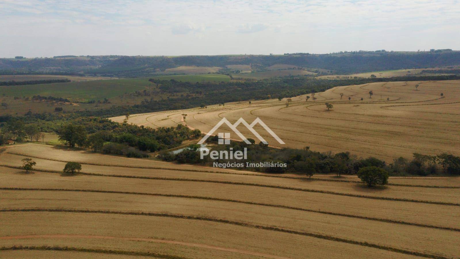 Fazenda-Sítio-Chácara, 456 hectares - Foto 4