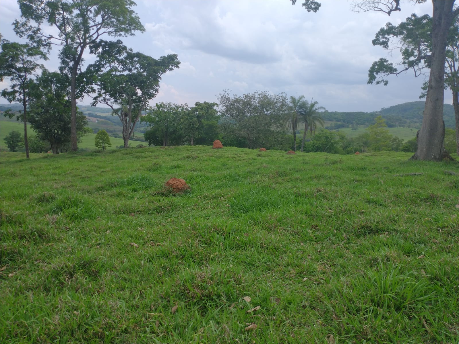 Fazenda-Sítio-Chácara, 28 hectares - Foto 2