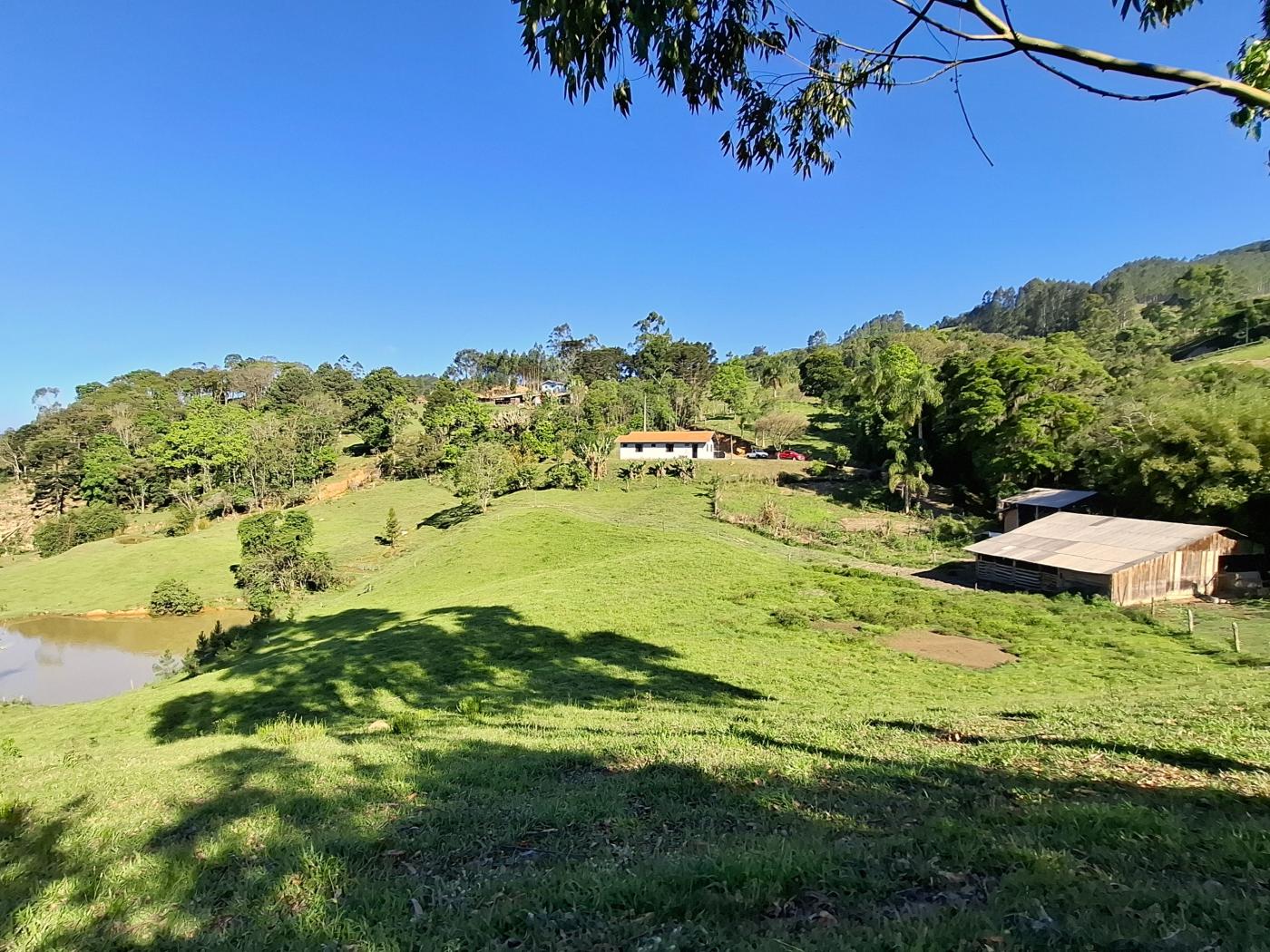 Fazenda à venda com 3 quartos, 90000m² - Foto 33