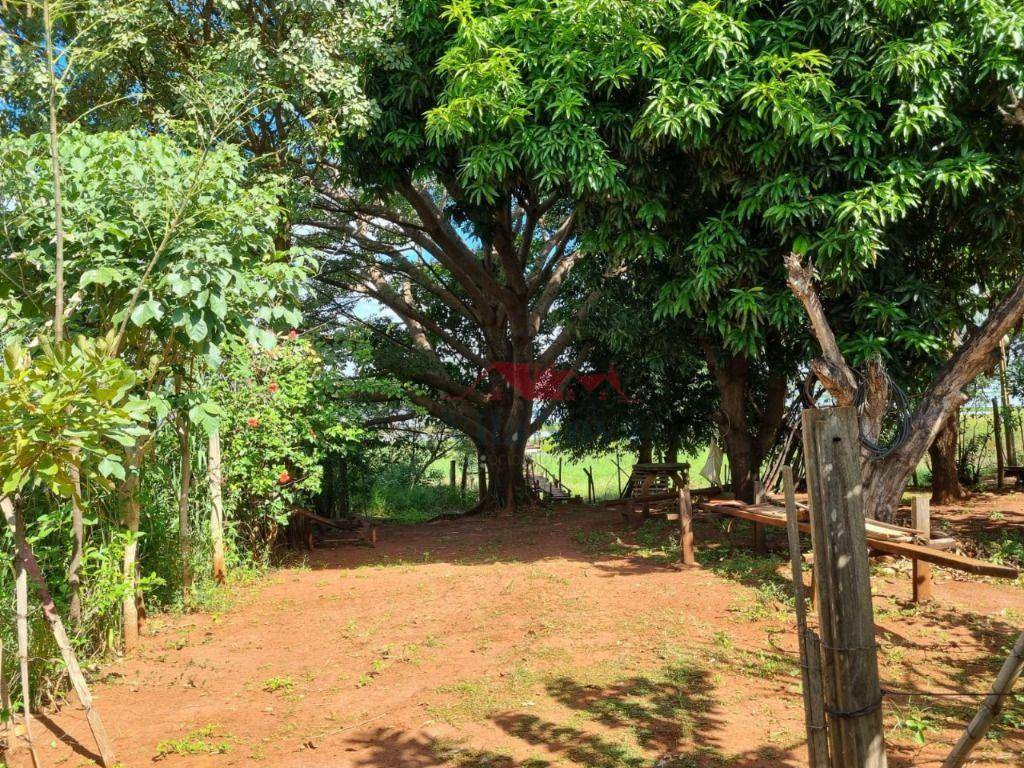 Chácara à venda com 2 quartos, 1000M2 - Foto 15