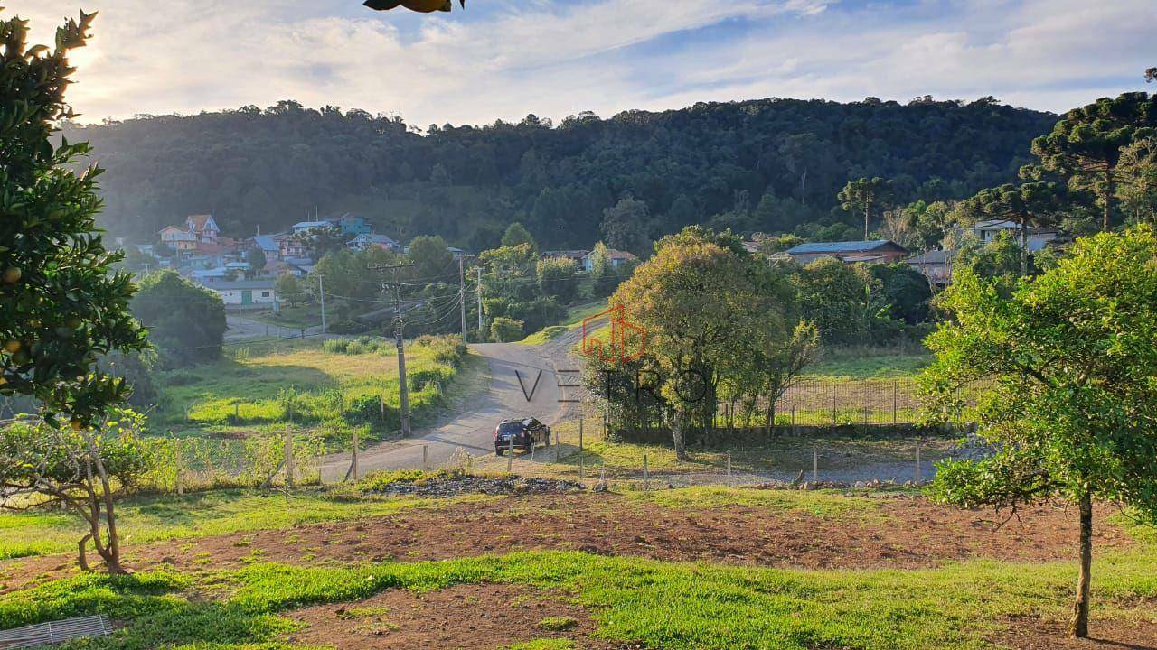 Terreno à venda, 6353M2 - Foto 2