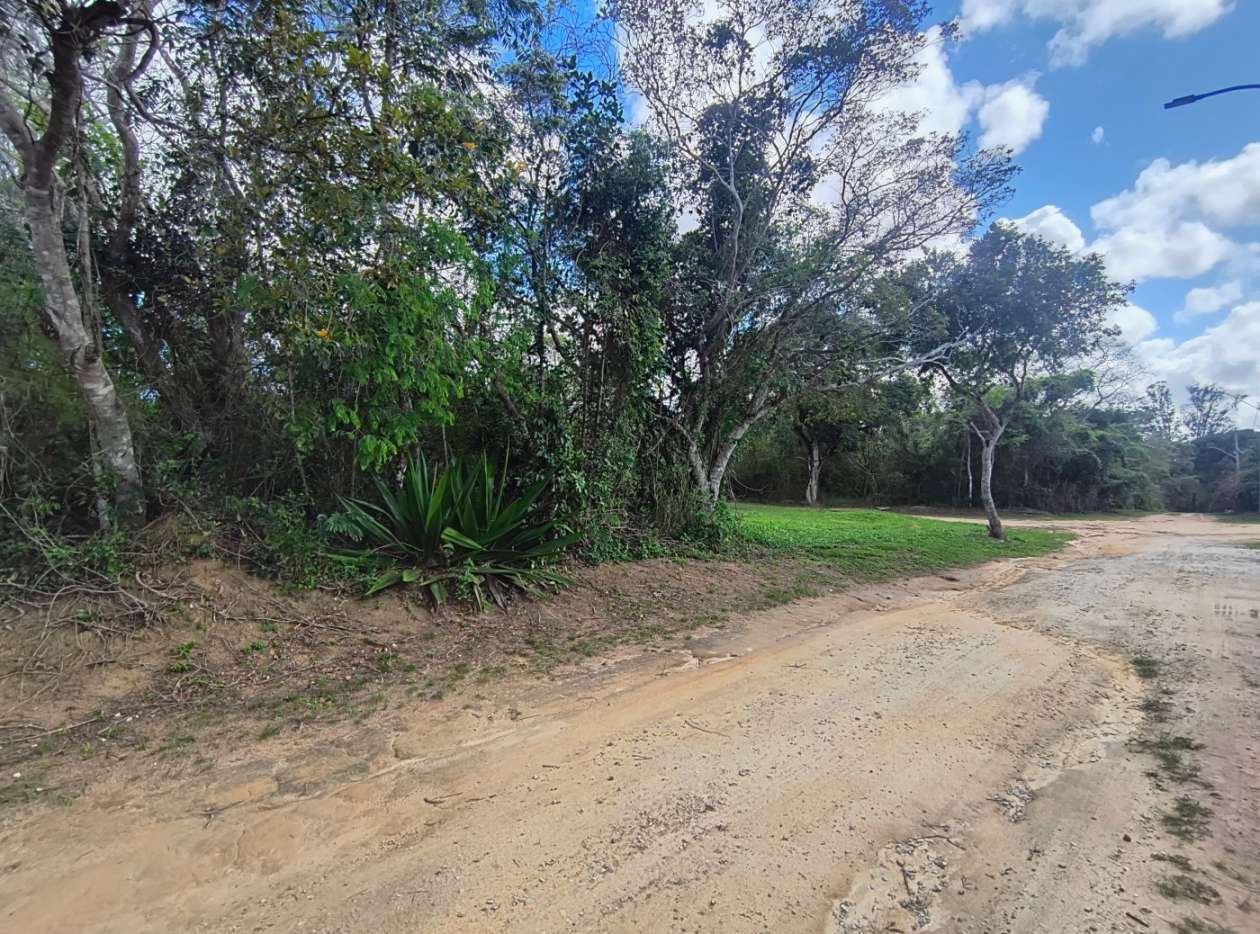 Terreno, 600 m² - Foto 10