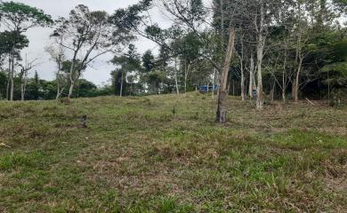Sítio à venda com 3 quartos, 87000m² - Foto 18