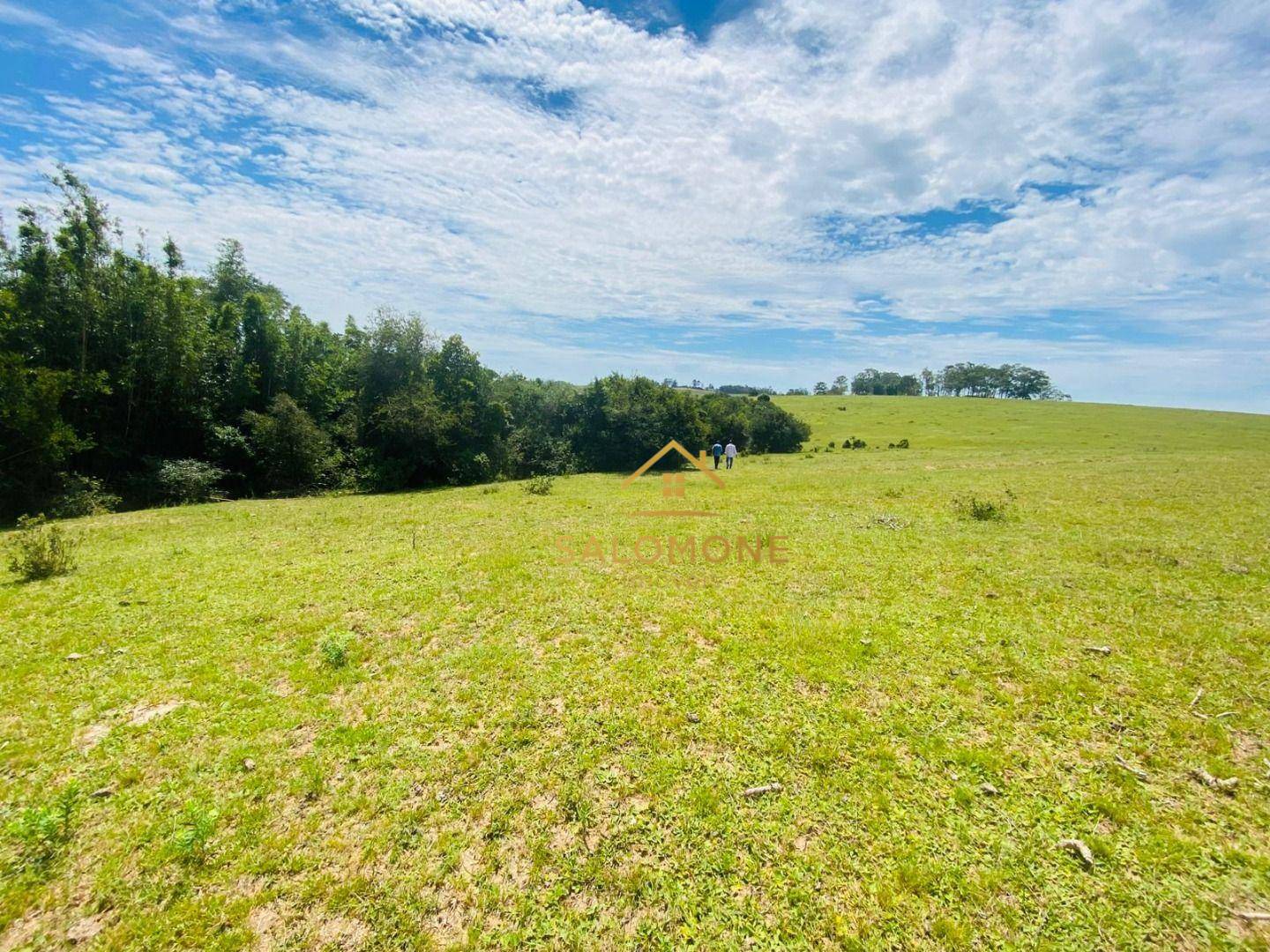 Terreno, 10 hectares - Foto 3