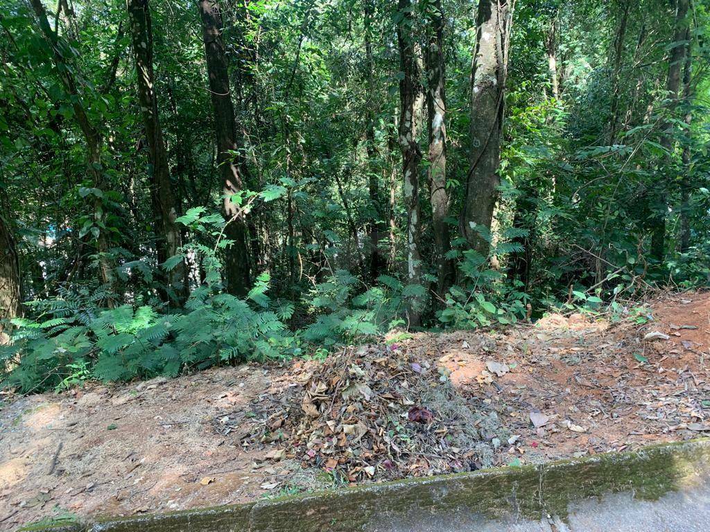 Loteamento e Condomínio à venda, 1060M2 - Foto 1