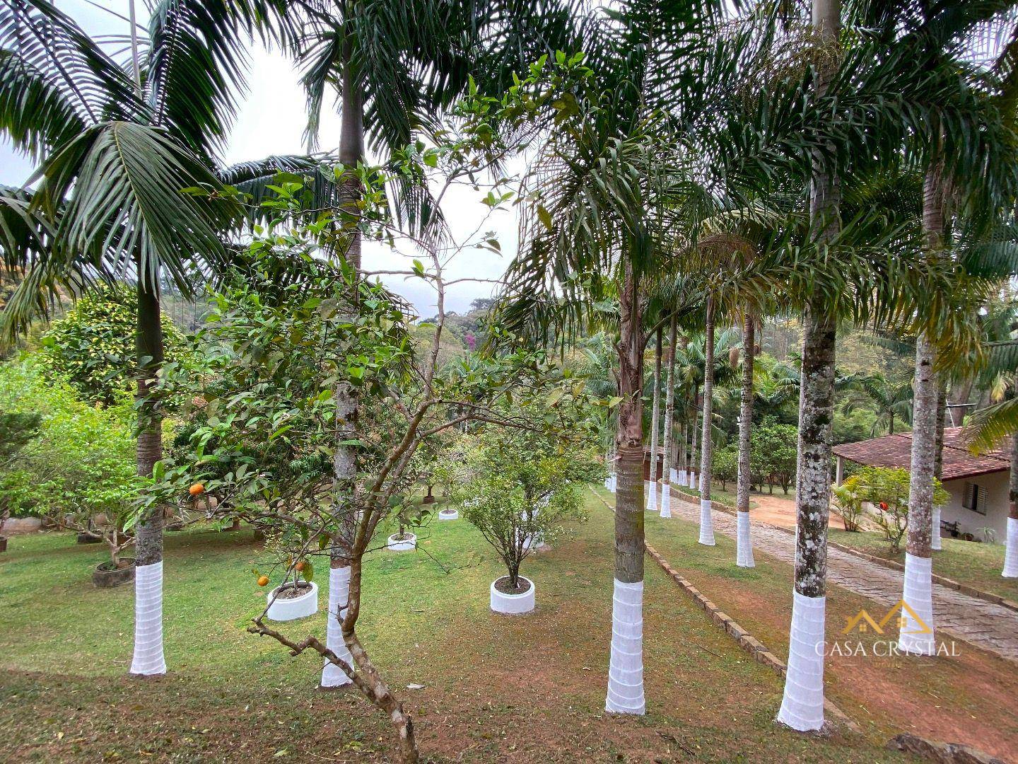 Chácara, 2 quartos, 1 hectares - Foto 5