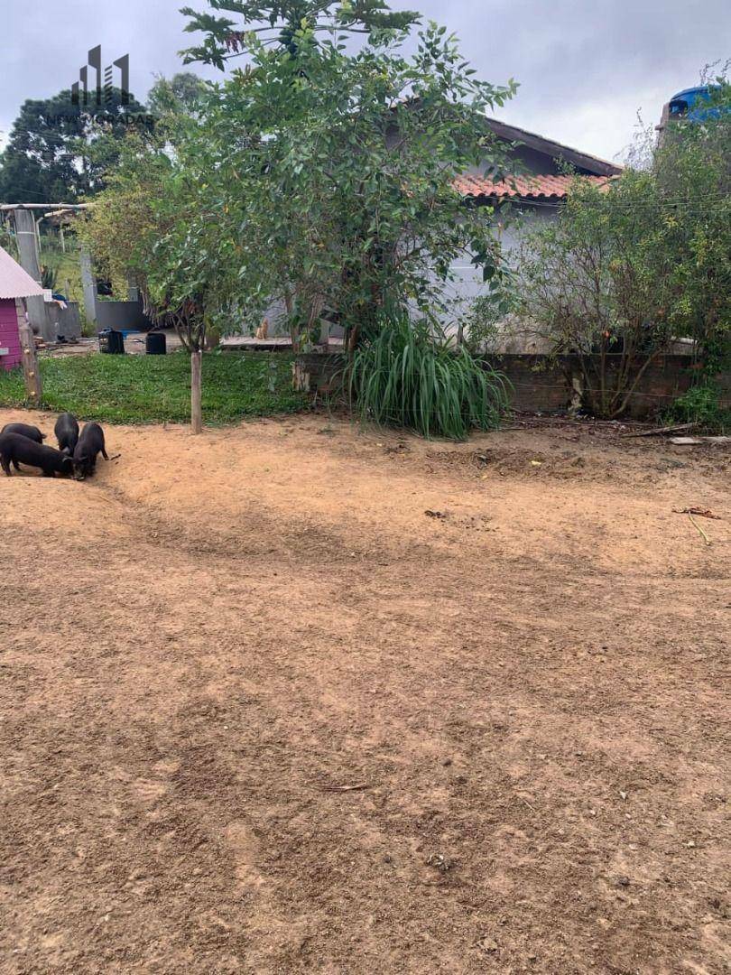 Chácara à venda com 2 quartos, 90m² - Foto 29