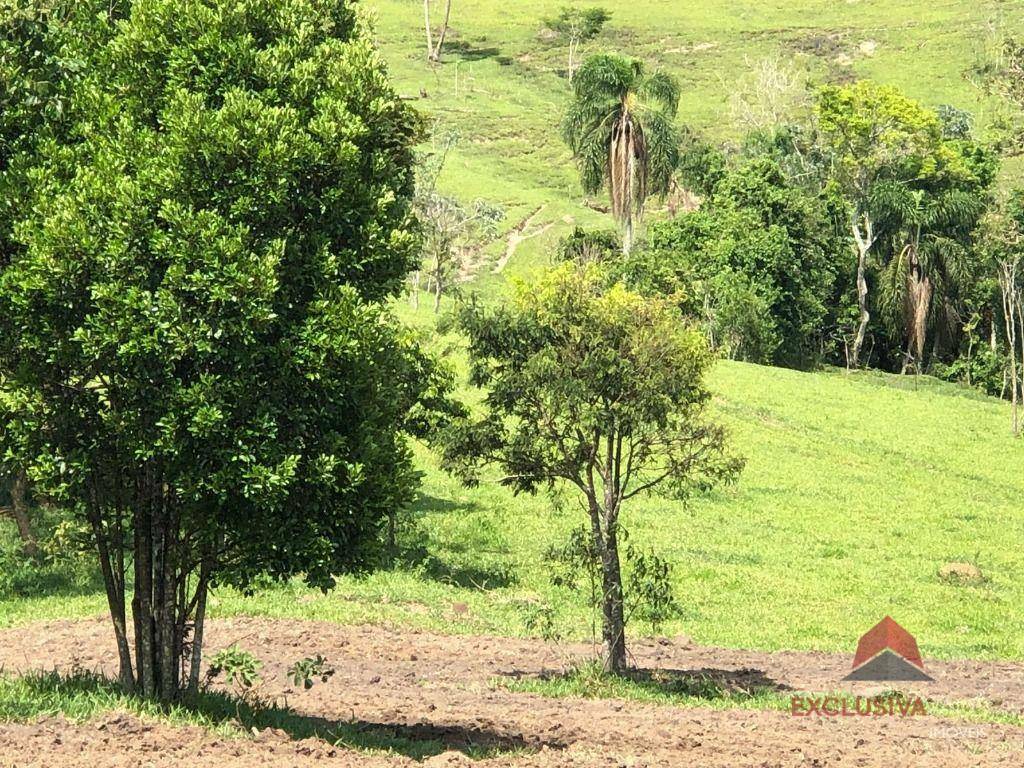 Terreno à venda, 101200M2 - Foto 4