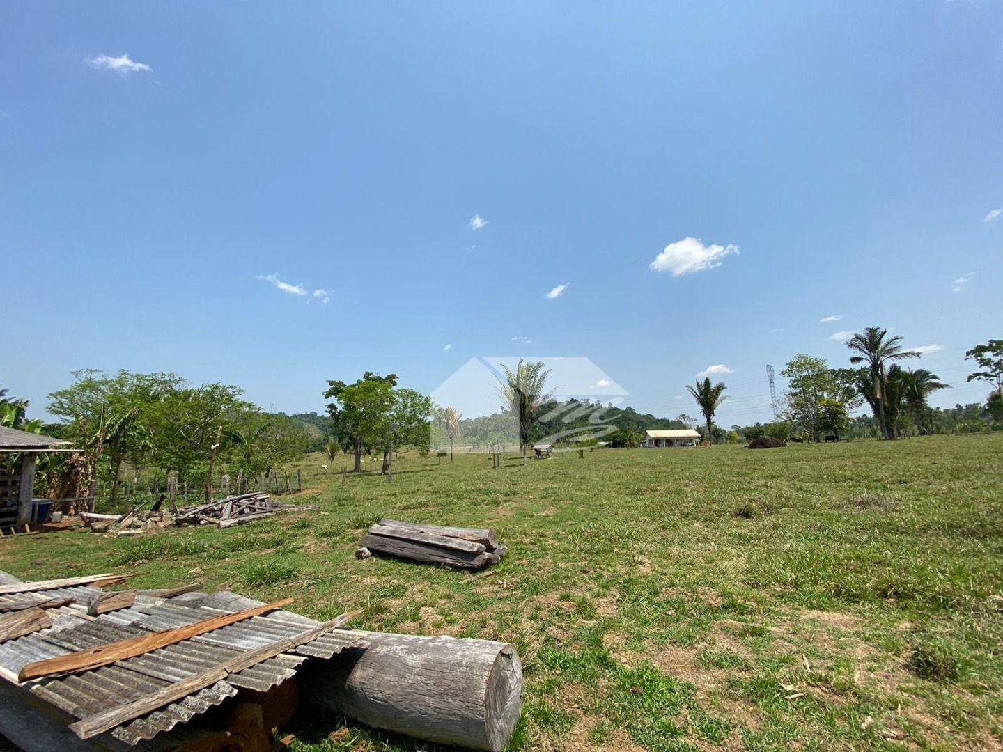 Fazenda à venda com 3 quartos, 2420000M2 - Foto 11