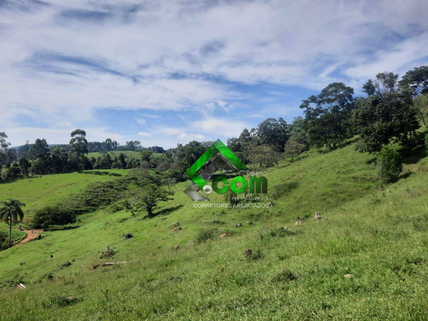 Terreno à venda, 20000M2 - Foto 34