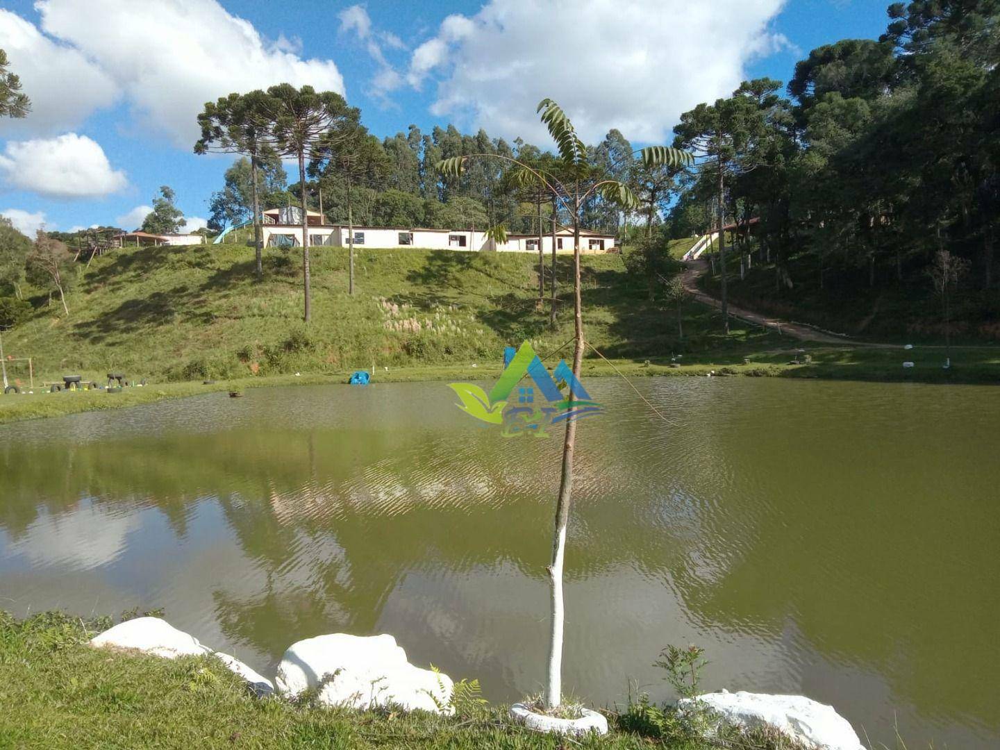 Chácara à venda com 30 quartos, 85000M2 - Foto 6