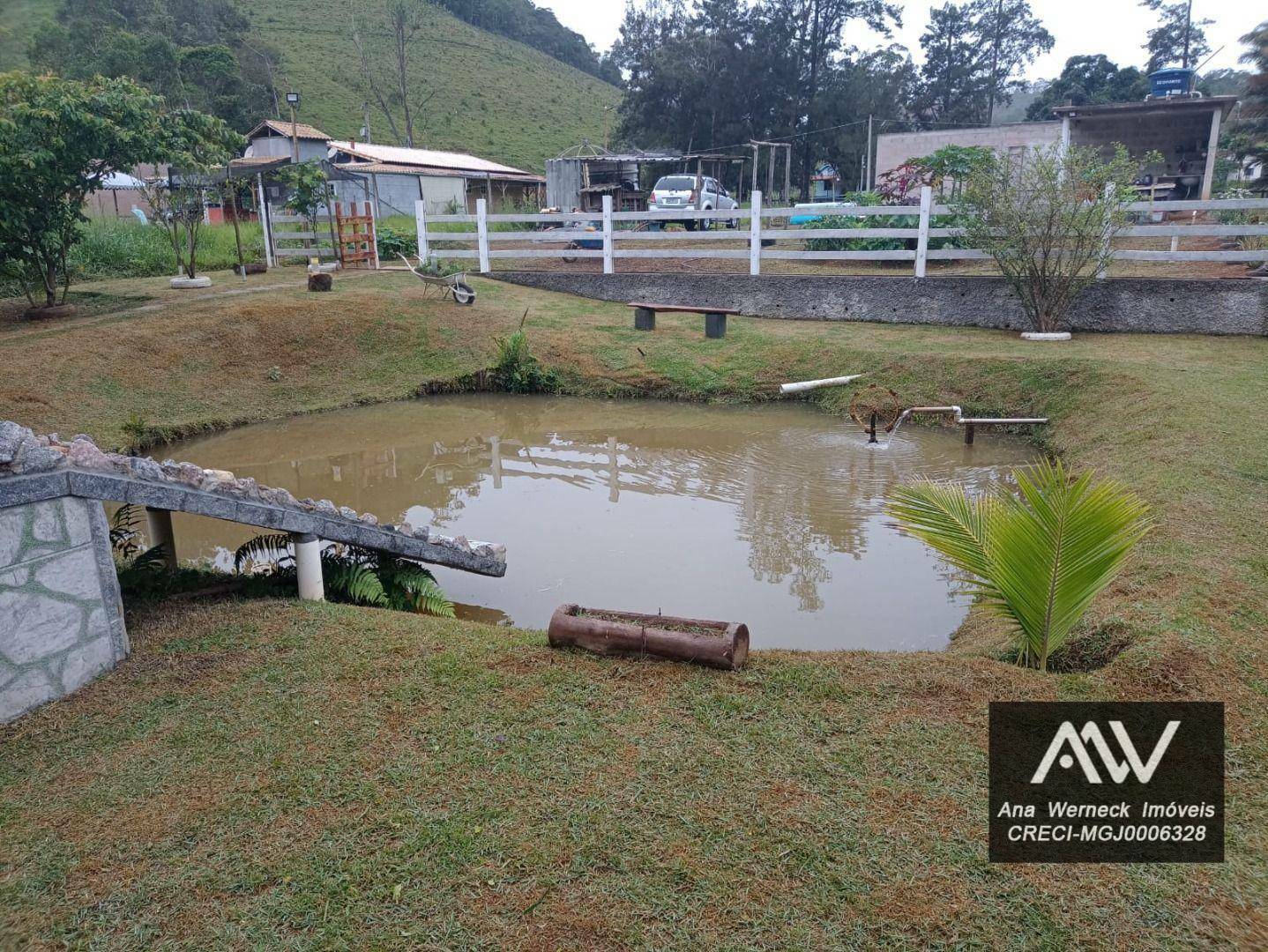 Chácara à venda com 3 quartos, 1100M2 - Foto 17