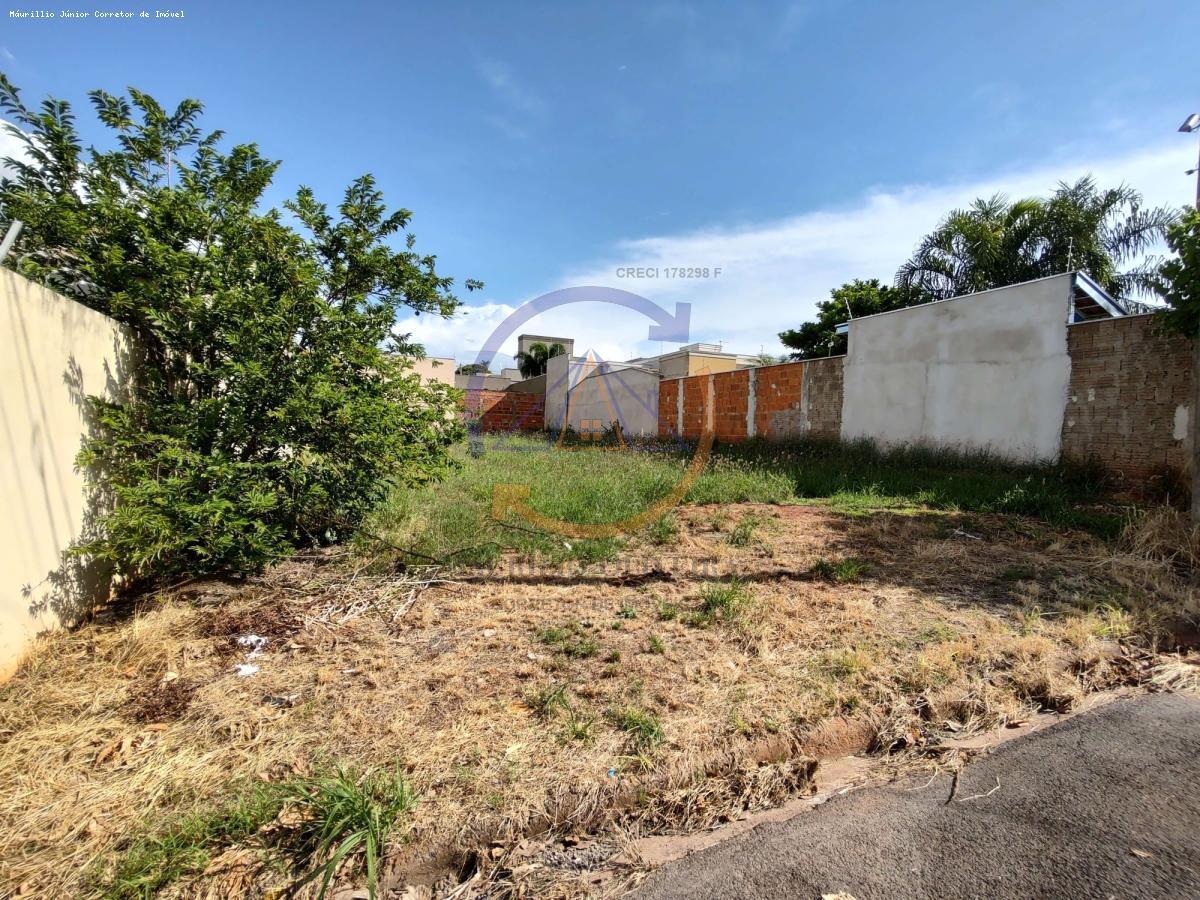 Terreno à venda, 384m² - Foto 1