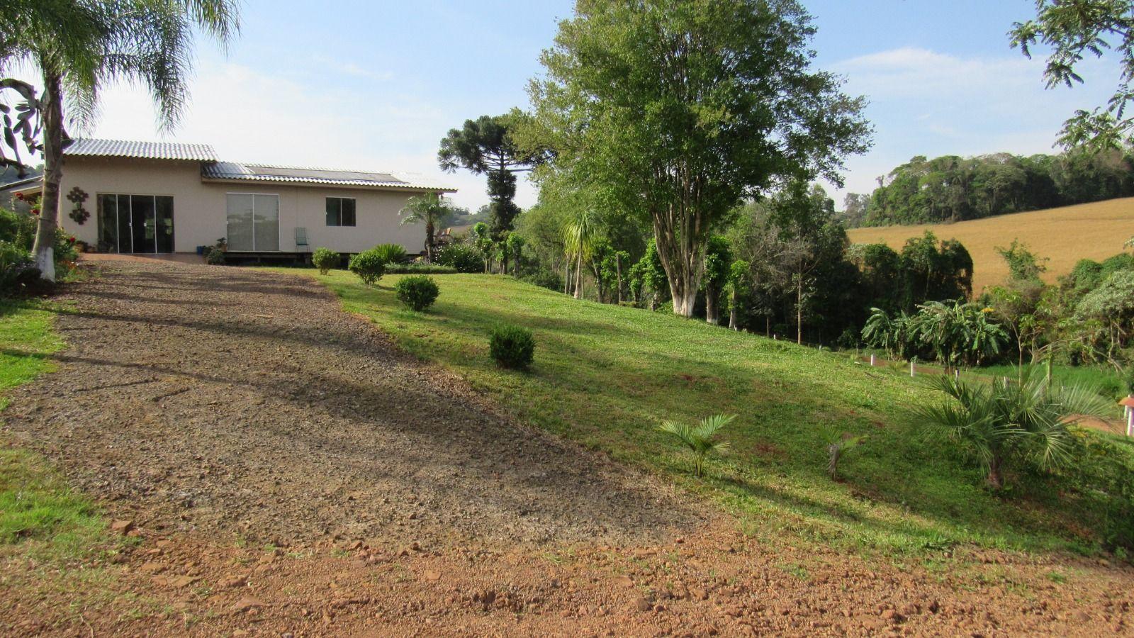 Fazenda à venda com 4 quartos, 12000m² - Foto 13