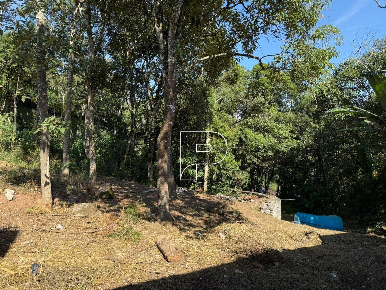 Loteamento e Condomínio, 2629 m² - Foto 6