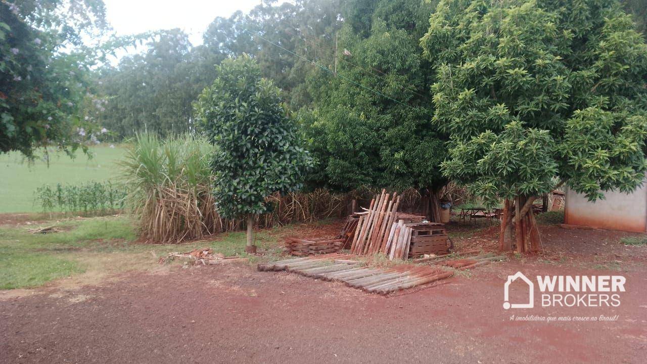 Chácara, 4 hectares - Foto 8