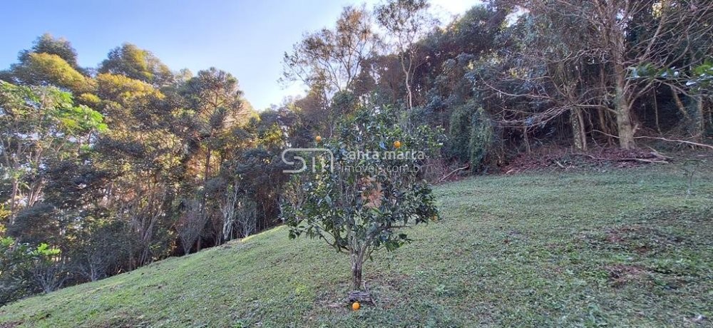 Fazenda à venda com 3 quartos, 64m² - Foto 54