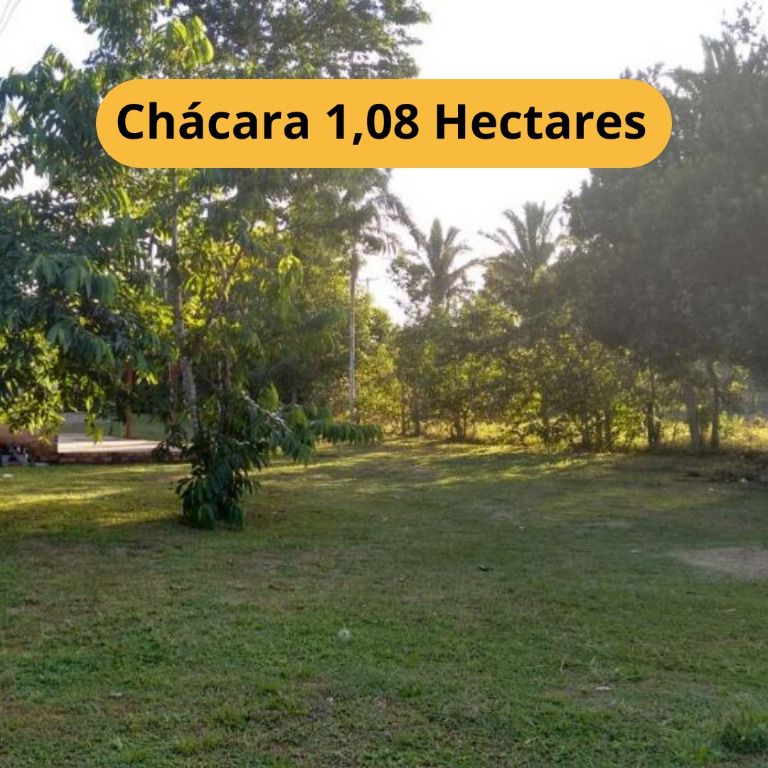 Chácara, 2 quartos, 1 hectares - Foto 1