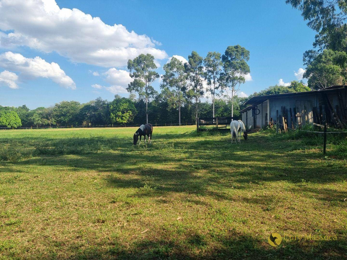 Chácara à venda com 2 quartos, 180m² - Foto 6