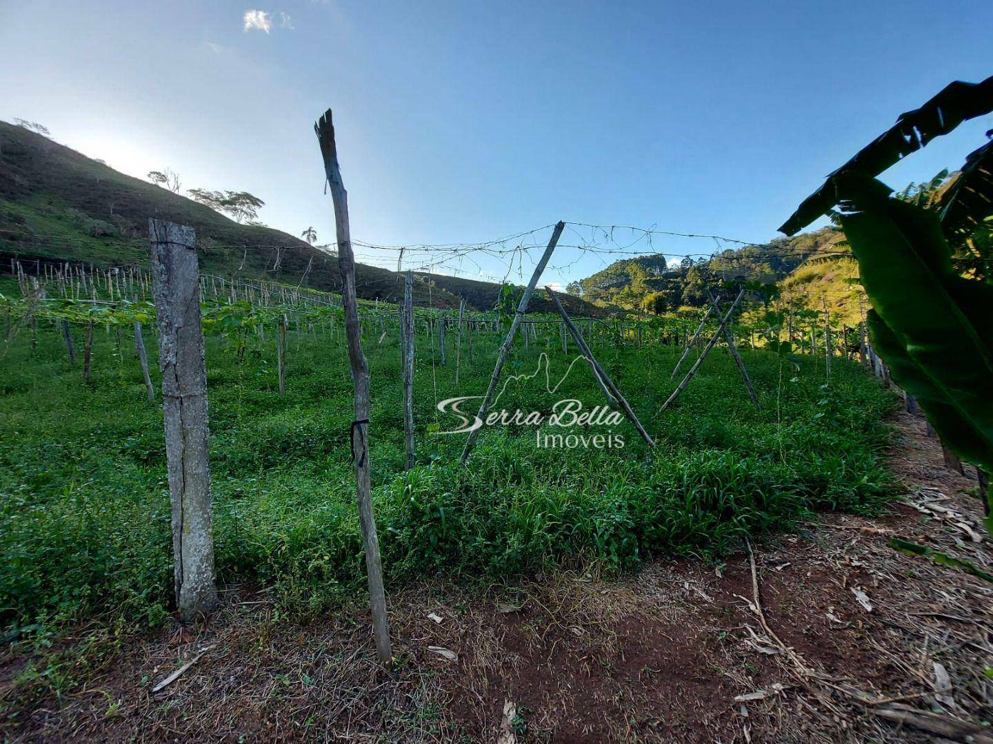 Fazenda à venda com 3 quartos, 580800M2 - Foto 26