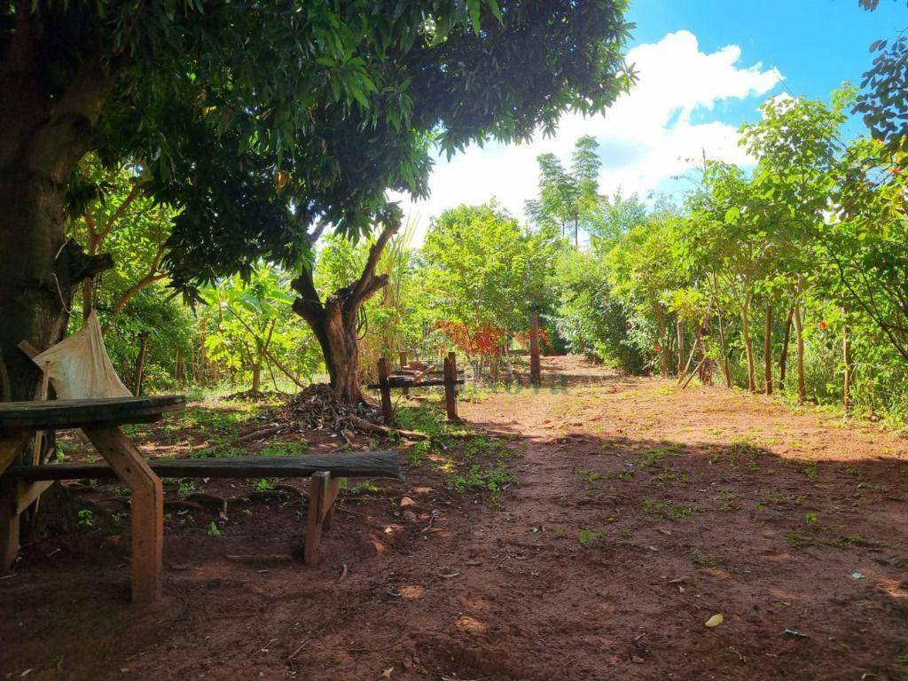 Chácara à venda com 2 quartos, 1000M2 - Foto 9