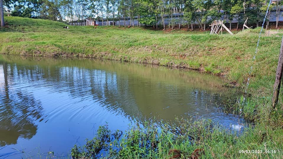 Fazenda à venda com 3 quartos, 17000m² - Foto 9