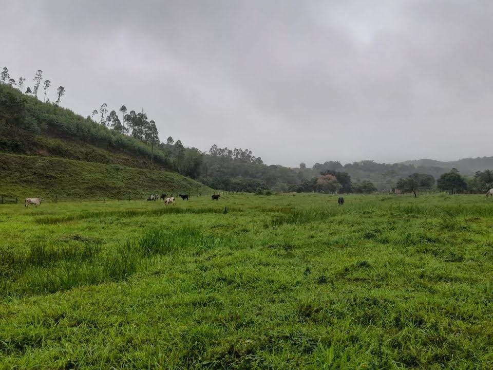 Fazenda à venda com 2 quartos, 17m² - Foto 8