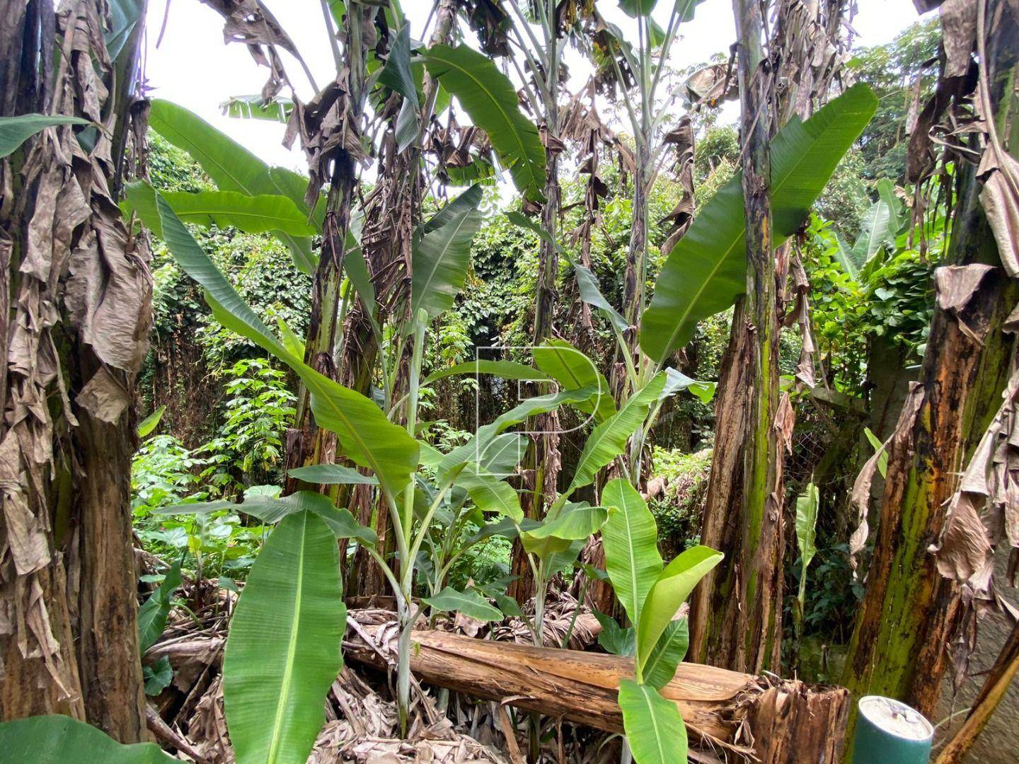 Loteamento e Condomínio à venda, 1000M2 - Foto 1