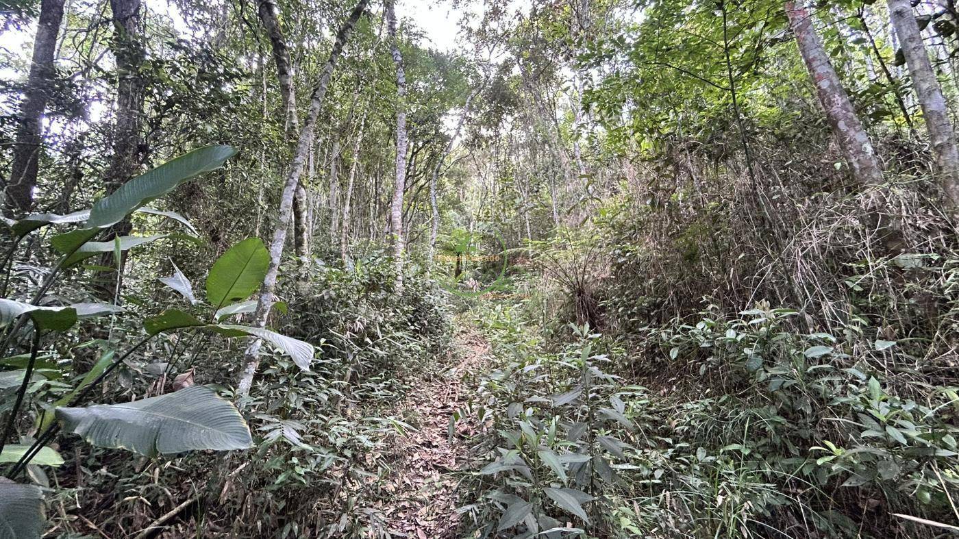 Sítio, 218 m² - Foto 4