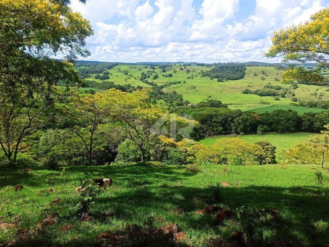 Terreno à venda, 242000M2 - Foto 1