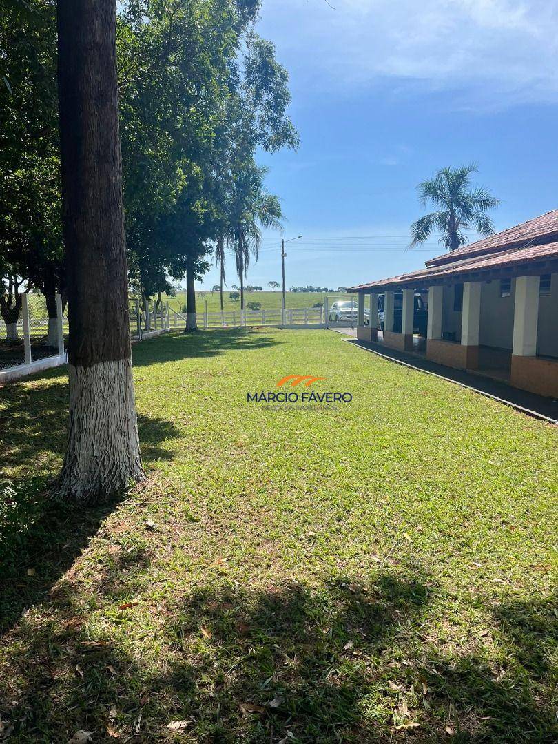 Fazenda, 322 hectares - Foto 9