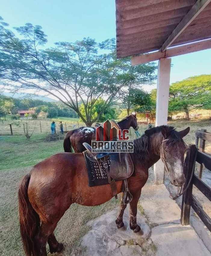 Chácara à venda com 5 quartos, 48400M2 - Foto 5