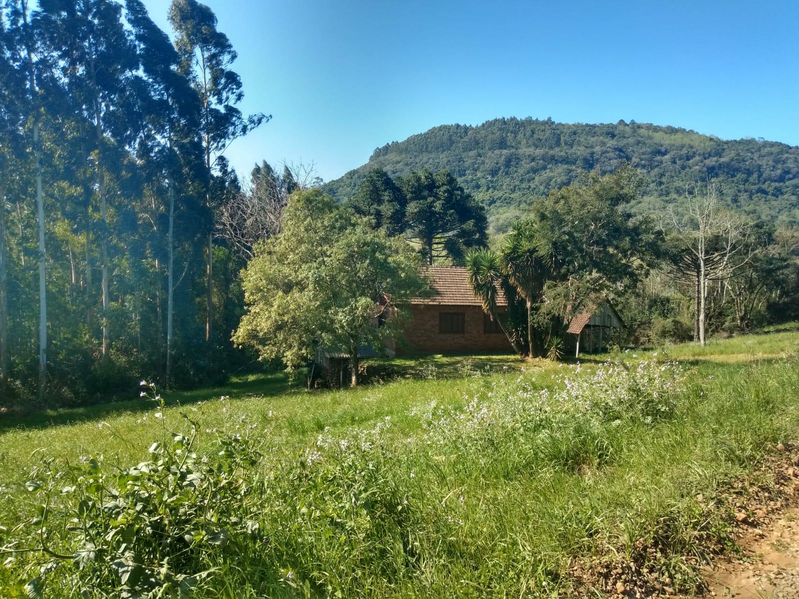 Sítio à venda com 1 quarto, 90m² - Foto 20